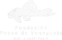 FUNDACION PECES DE VENEZUELA